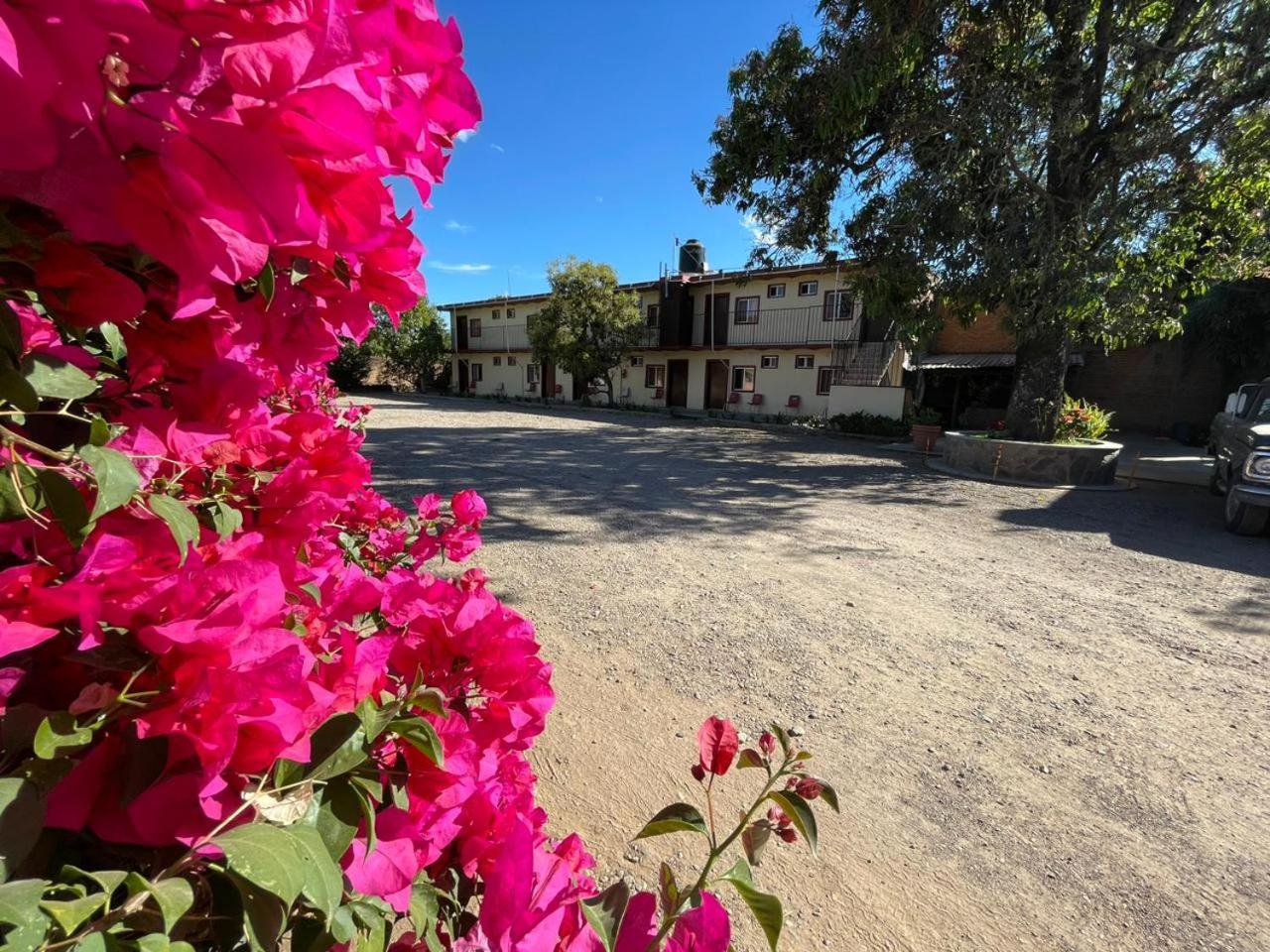 Meson La Huerta Hotel Mascota Exterior foto