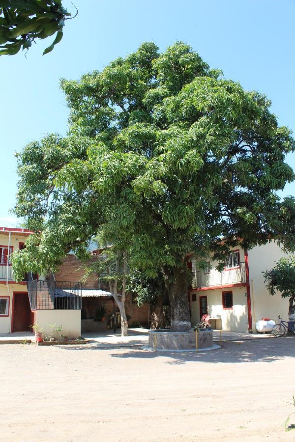 Meson La Huerta Hotel Mascota Exterior foto